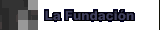 The Fundacion